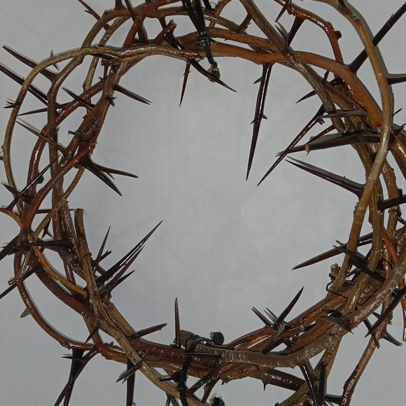 Crown of Thorns 24" - Picture 7 of 7